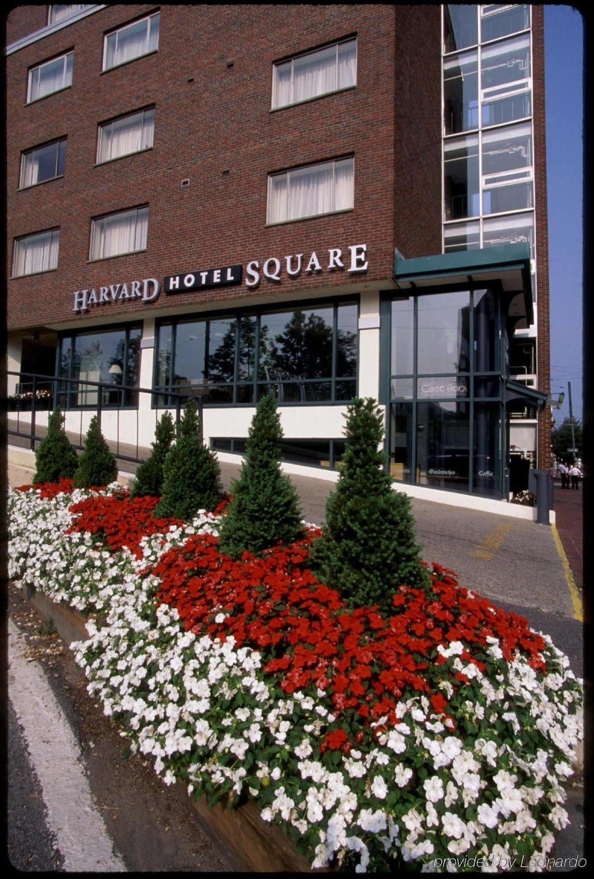Harvard Square Hotel Cambridge Esterno foto